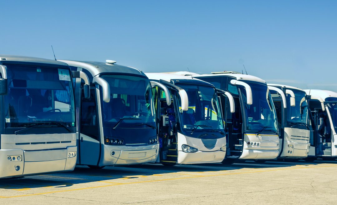 Row of parked motorcoaches
