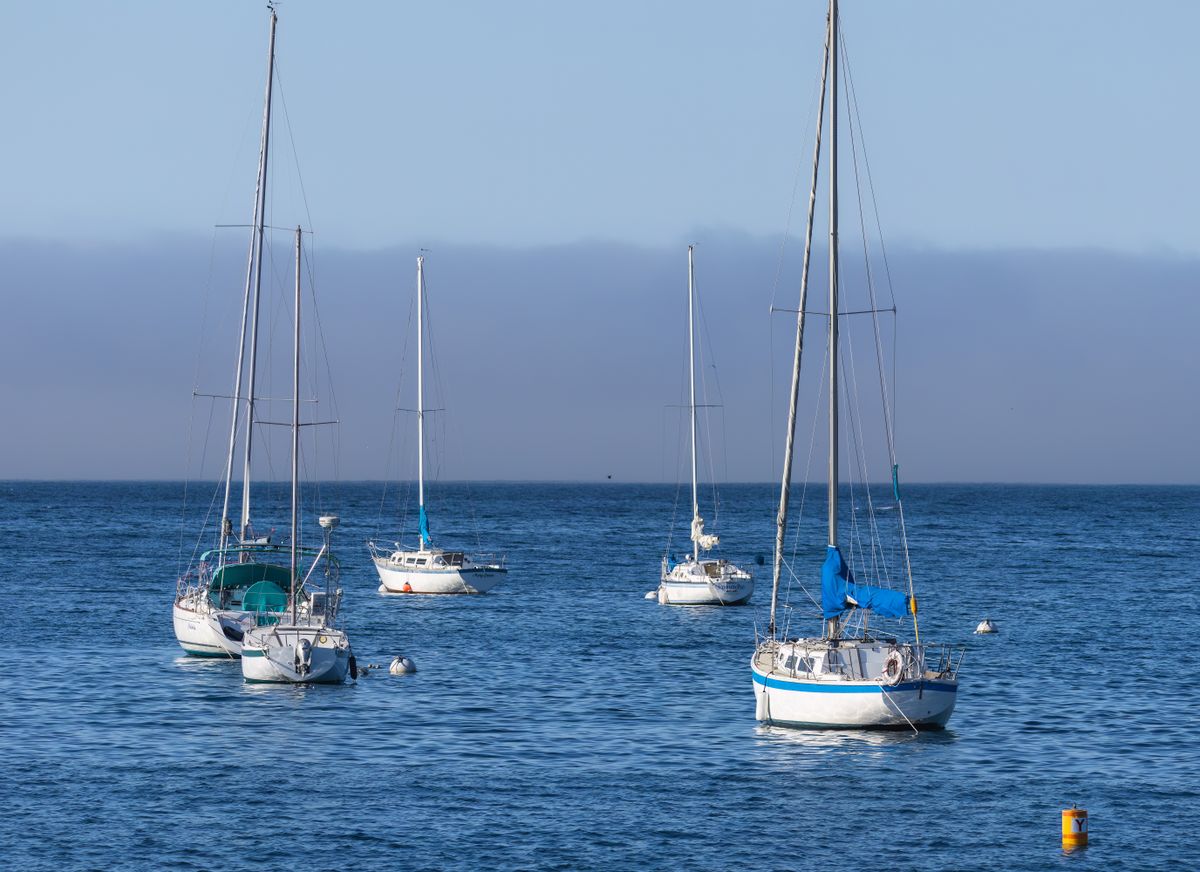 Five sailboats at their moorings on a calm bay with fog on the horizon