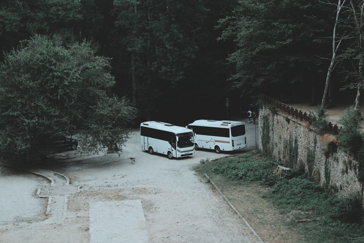 Two white coaches parked on a quiet forest road, seen from above